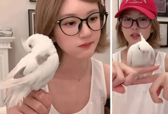 怒撕经纪公司后赵露思开启直播，同款花卷、包包都卖爆