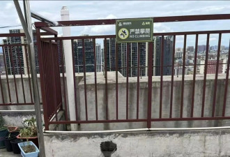 29岁女子疑被男友施暴后从25楼跳下身亡