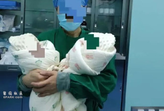 邵医生坠楼身亡背后 医闹正从院内转向网络