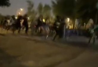 惊魂枪击！宾顿音乐节秒变逃生现场