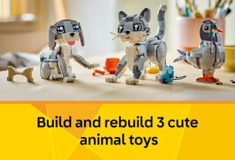 6.7 折, 乐高 Creator 3 in 1 Playful Cat Toy