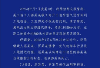 农民工在工地附近如厕被气枪击杀 警方通报