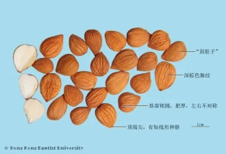 越苦的食物越健康？千万别盲目“吃苦”