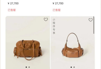认识一下Miu Miu卖得最快的一只包