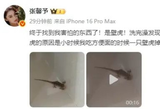 张馨予洗完澡被壁虎吓得落荒而逃！曝光浴室照直呼“害怕”