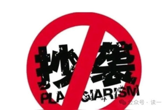 2025年中国小说圈抄袭名单