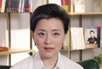 杨澜果断离婚 事业家庭双丰收
