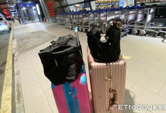 到机场才发现“航空公司停业了” 她愣在原地