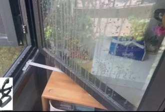 上海一居民家中被喷射不明液体！30多扇窗全遭殃