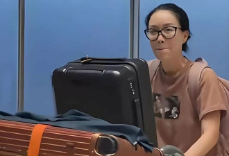 那英被粉丝挤到角落，怒喊：别碰我
