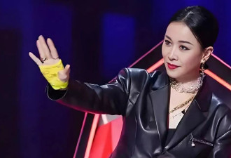 那英被粉丝挤到角落，怒喊：别碰我