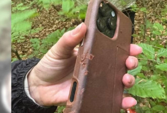 iPhone太猛了！从飞机上掉落，竟完好无损