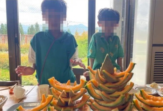 “这样吃哈蜜瓜”！插画家惨遭出征