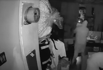 美国店家遭夜贼洗劫，Labubu玩偶全被偷走