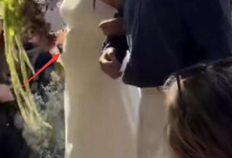 姜文31岁女儿结婚，外国女婿身份曝光