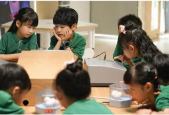 幼儿园招生，进入白热化