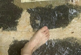 6岁女童殒命戏水池：家属称左腿被回水管吸住