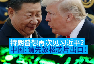 金融时报：中国要求美国放宽芯片限制