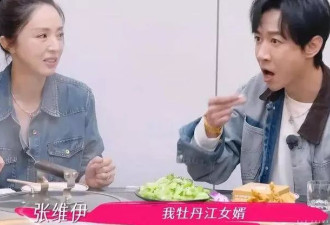董璇张维伊连晕车呕吐都同步，笑谈结婚是梁静茹给的勇气