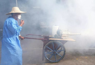 基孔肯雅热“梦回新冠”:“粗暴防疫”再现 破门换锁抽血…