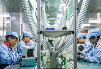 视频曝学生“打螺丝”：9块钱1小时 接受不了往前走…