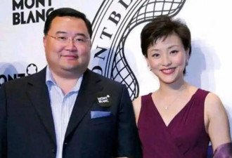 “你若愿意，百亿都是你的” 杨澜为何果断离婚