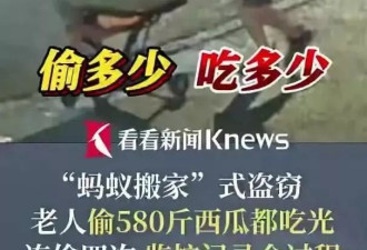 男子“蚂蚁搬家”4次偷580斤西瓜，自己都吃光了
