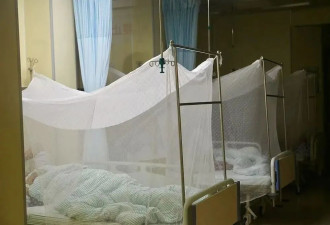 佛山运动式灭蚊，新冠后首次“全民防疫”