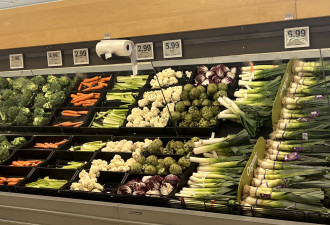 不比不知道：加拿大食品杂货价格六个月内变化有这么多