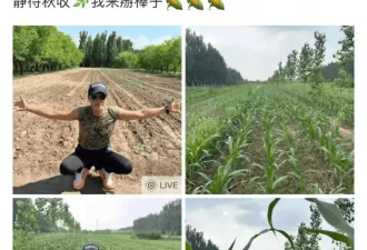 众多明星田园种地，51岁金城武过成了人们活不起的样子