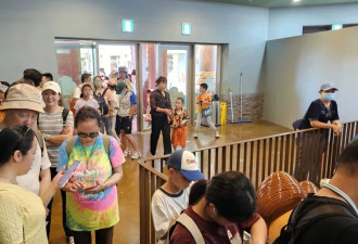 济州岛，正在被江浙沪悄悄吞并