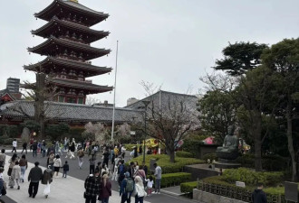 再探东京：从浅草寺到银座寿司之旅