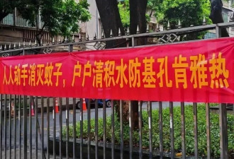 与蚊子缠斗的一个月 一场格外艰难的战斗！