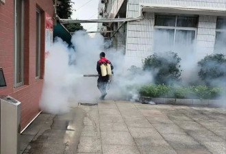 与蚊子缠斗的一个月 一场格外艰难的战斗！