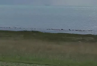 青海湖现“龙吸水”奇观，白色水柱直上云霄