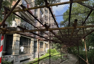 小区外墙维修陷困局：脚手架搭了六年，居民意见难统一