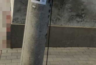 河北街头突出现“中共≠中国”标语......