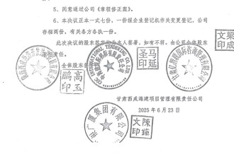 甘肃成县"鬼打墙":8000万股权被伪造公章窃取后…
