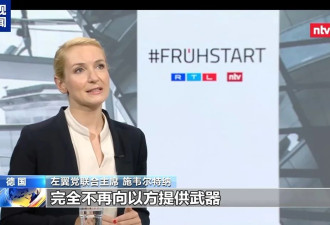 德国左翼党领导人:德国应全面停止向以色列供武器