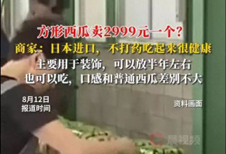 方形西瓜卖2999元一个？商家：日本进口，主要用于装饰