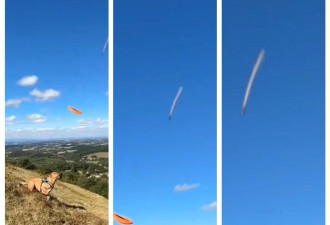 UFO？英男意外录下“超高速白影”
