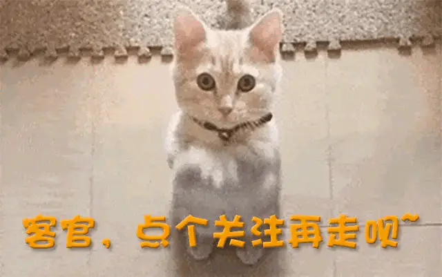 万万没想到！叶珂再曝大料牵扯到黄晓明孩子 杨颖成内娱大笑话