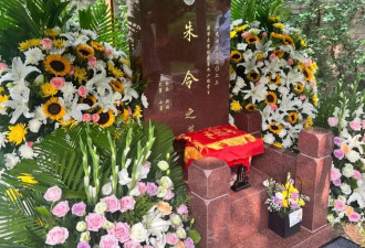 朱令父母被骗，某些人真够无耻的