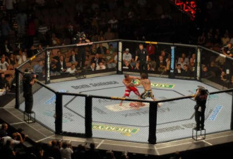 UFC总裁：白宫将上演“最血腥暴力”的一幕