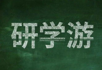 大理苍山失踪8岁男童不幸遇难 暗访研学乱象