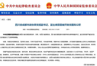 女厅官被双开：违规拥有非上市企业股份