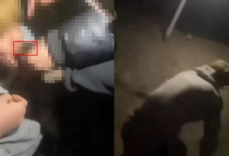 16岁男生遭多人欺辱殴打，被逼跪地爬行学狗叫
