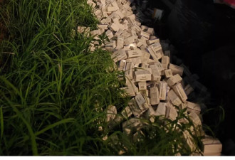 广东揭阳一绿化带堆积大量过期药品引发关注