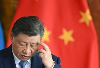 习近平稀土战术成回力镖 恐失垄断王座