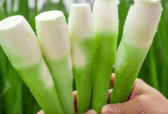 “天然胰岛素”排行：洋葱落榜，茄子垫底